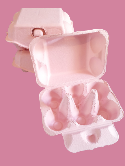 Colourful Easter Egg Cartons