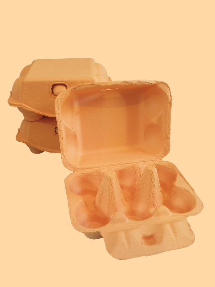 Colourful Easter Egg Cartons