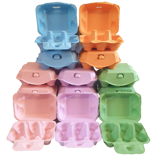 Colourful Easter Egg Cartons